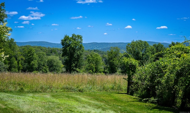 164 E St, Sharon, CT 06069 - photo 39