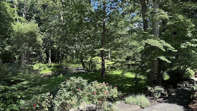 31 Riverfield Dr, Weston, CT 06883 - photo 6