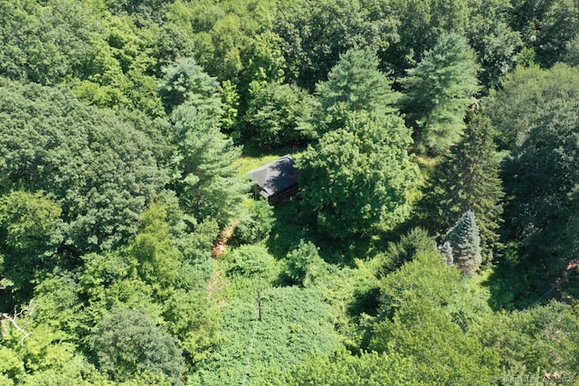 289 Spring Lake Rd, Waterbury, CT 06706 - photo 4