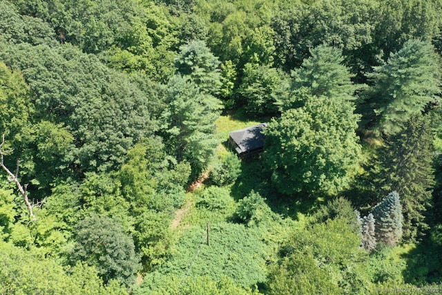289 Spring Lake Rd, Waterbury, CT 06706 - photo 5
