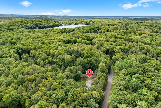 64 Moon Rd, Ashford, CT 06278 - photo 34
