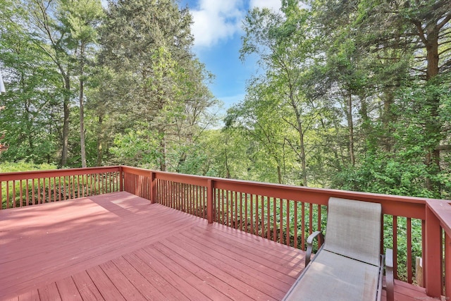 56 Birchwood Rd, Windsor, CT 06095 - photo 27