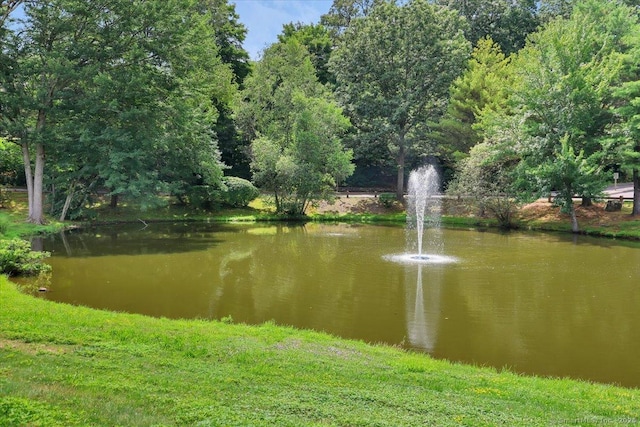 5 Hickory Hl Unit 5, Southington, CT 06489 - photo 31