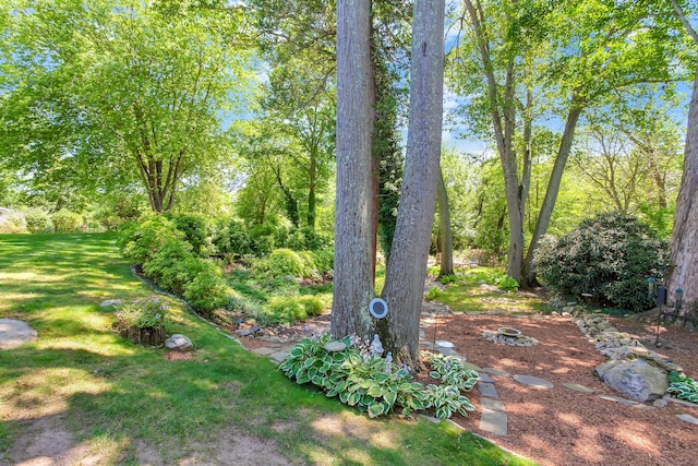 124 S Montowese St Unit 22, Branford, CT 06405 - photo 29