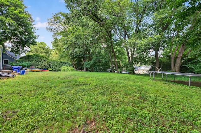 7 Bonnieview Dr, East Granby, CT 06026 - photo 29
