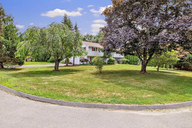 10 Magnolia Rd, Trumbull, CT 06611 - photo 3