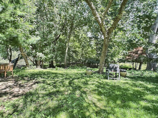 102 Euclid Ave, Stamford, CT 06902 - photo 7
