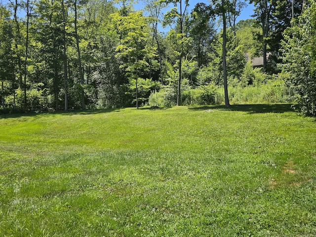 129 Oakbrook Ln, Torrington, CT 06790 - photo 31
