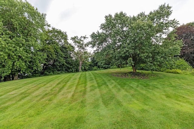 3 Blackhaw Dr, Cromwell, CT 06416 - photo 28