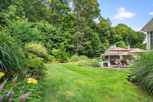 33 Duffords Lndg, Glastonbury, CT 06073 - photo 31