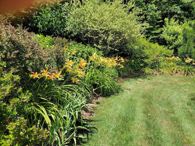 33 Duffords Lndg, Glastonbury, CT 06073 - photo 36