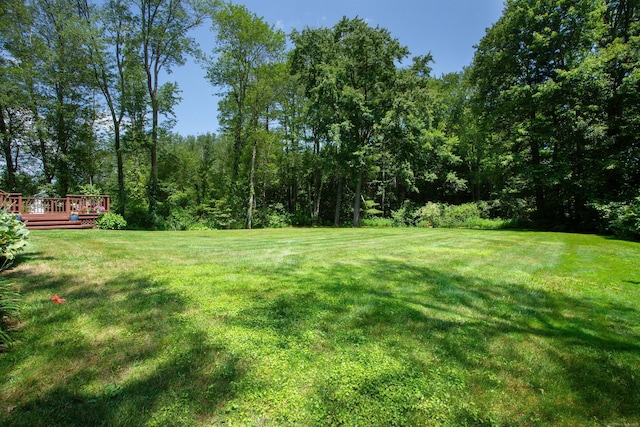 116 Wells Rd, Granby, CT 06035 - photo 5
