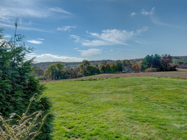 37 Hallmark Hill Dr Unit 37, Wallingford, CT 06492 - photo 17
