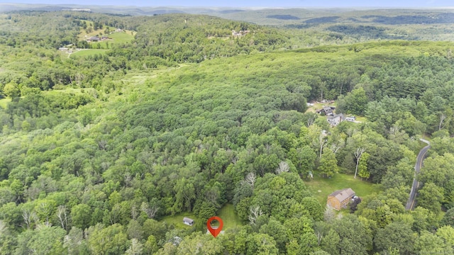 290 Gillette Rd, New Hartford, CT 06057 - photo 8