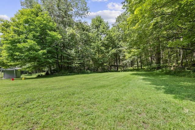 290 Gillette Rd, New Hartford, CT 06057 - photo 6