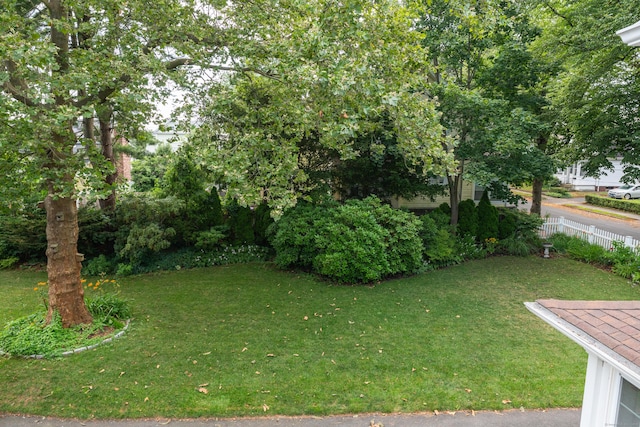 37 Beecher Pl, New Haven, CT 06512 - photo 29