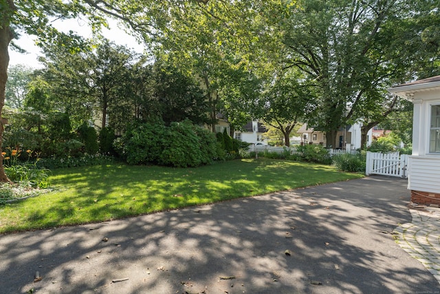 37 Beecher Pl, New Haven, CT 06512 - photo 31