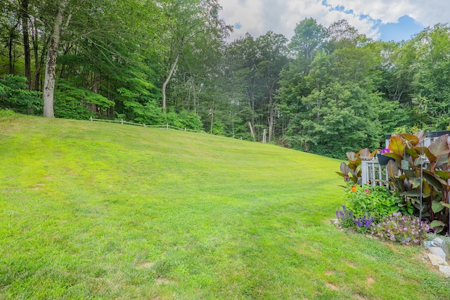 160 Shelter Rock Rd Unit 7, Danbury, CT 06810 - photo 24