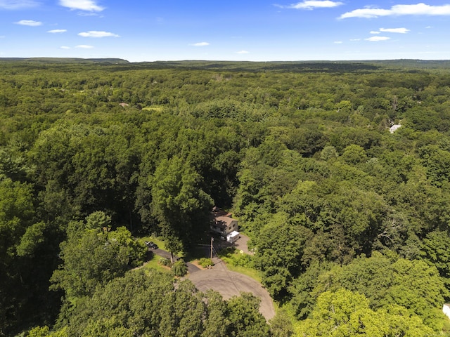 77 Pinebrook Cir, Guilford, CT 06437 - photo 10