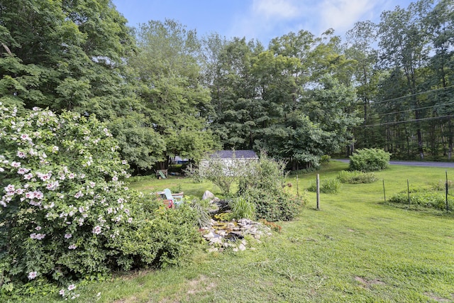 114 Cone Rd, Hebron, CT 06248 - photo 10