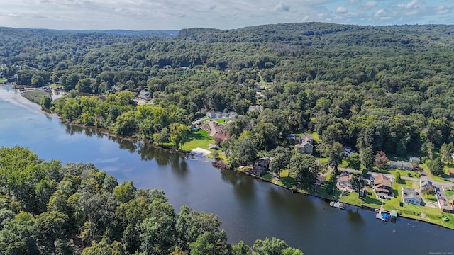 8 Mackenzie Cir, Newtown, CT 06482 - photo 39