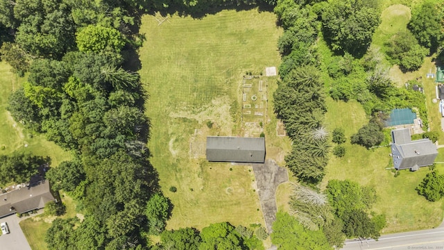 266 Tolland Tpke, Willington, CT 06279 - photo 4