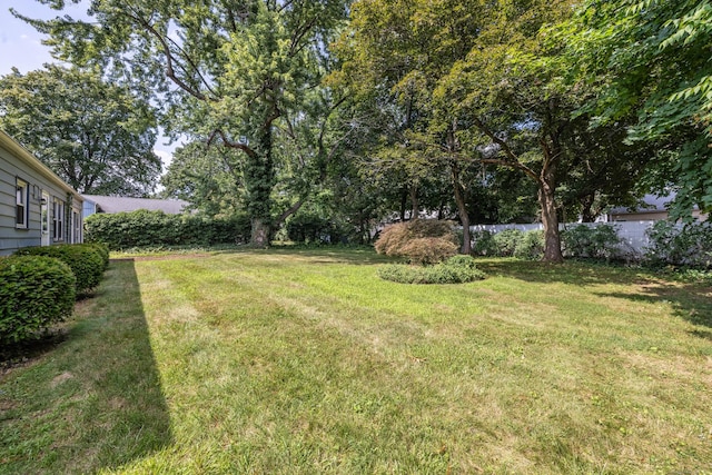 51 Weaver Rd, Manchester, CT 06042 - photo 7