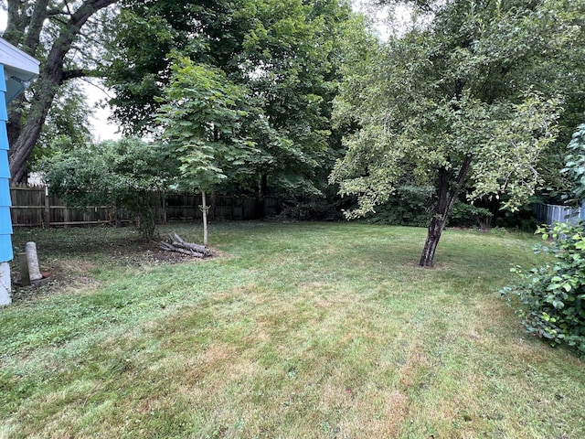 44 Rosewood Ave, New Haven, CT 06513 - photo 12
