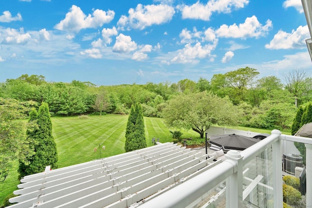 60 Thompson St, Shelton, CT 06484 - photo 20