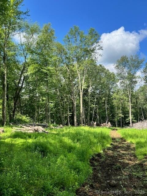 31 Pautipaug Ln, Franklin, CT 06254 - photo 2
