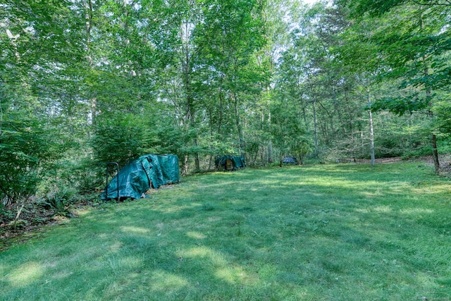 59 Ulasik Rd, Canterbury, CT 06331 - photo 40