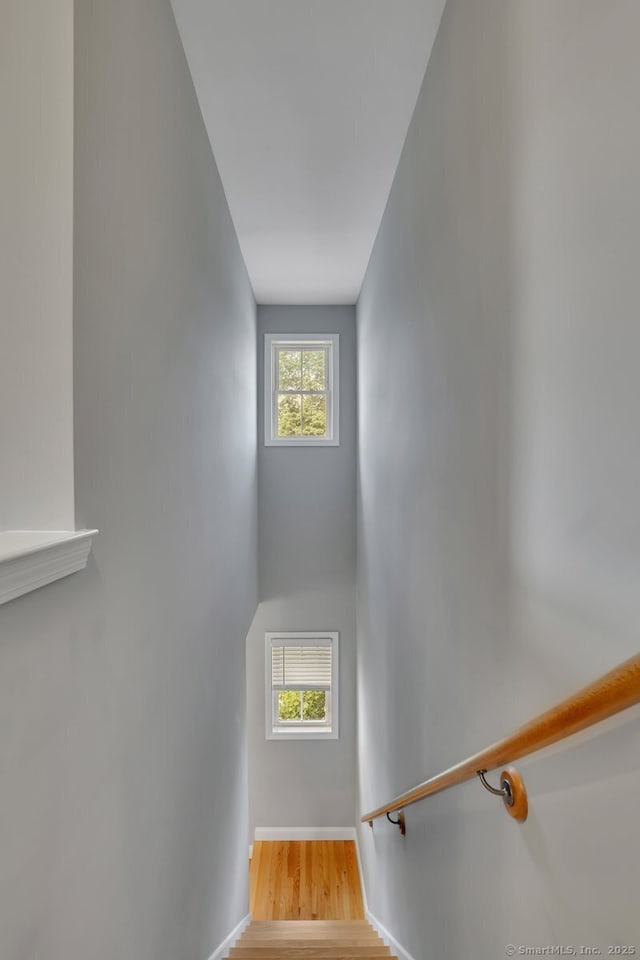 39 Eden Ave Unit 1, Southington, CT 06489 - photo 11