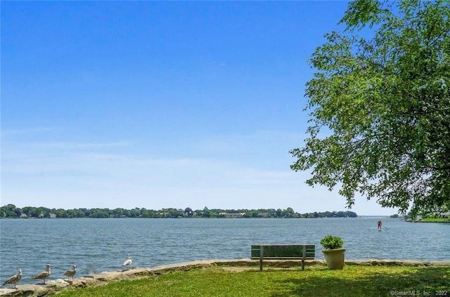 10 Holly Cove Cir, Stamford, CT 06902 - photo 38
