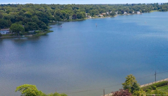 10 Holly Cove Cir, Stamford, CT 06902 - photo 39