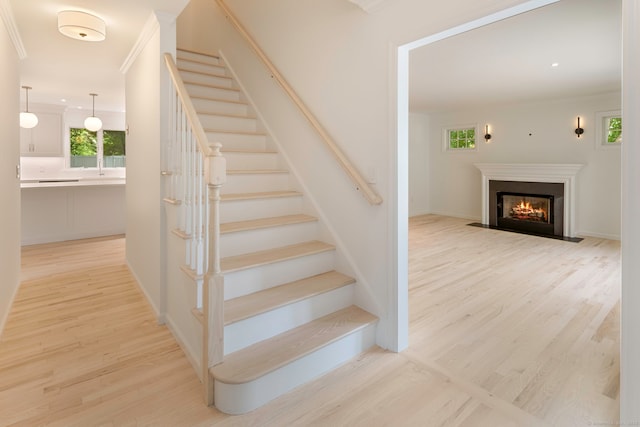 10 Holly Cove Cir, Stamford, CT 06902 - photo 4