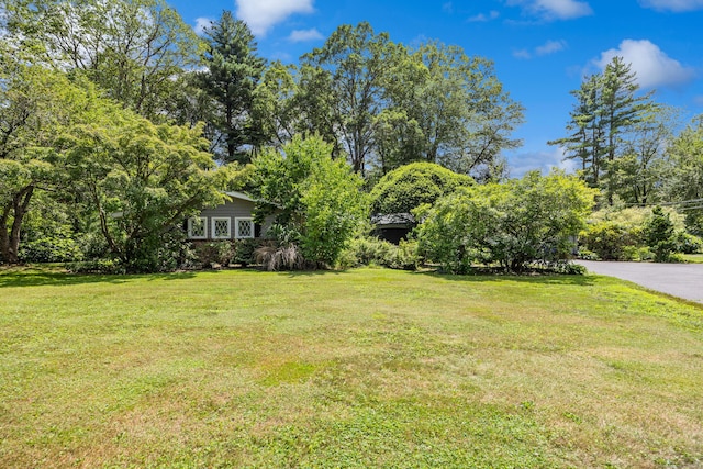 109 Country Club Rd, Avon, CT 06001 - photo 38