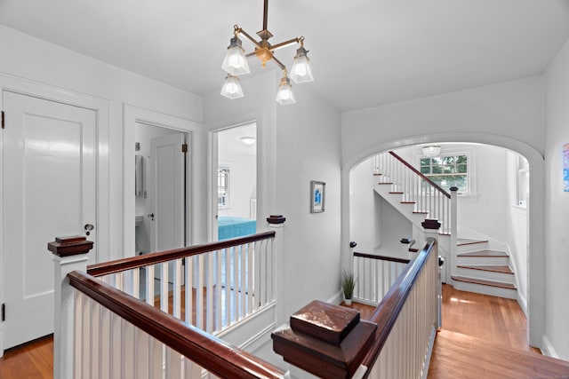 325 Saint Ronan St, New Haven, CT 06511 - photo 18