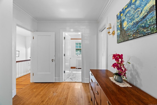 325 Saint Ronan St, New Haven, CT 06511 - photo 19