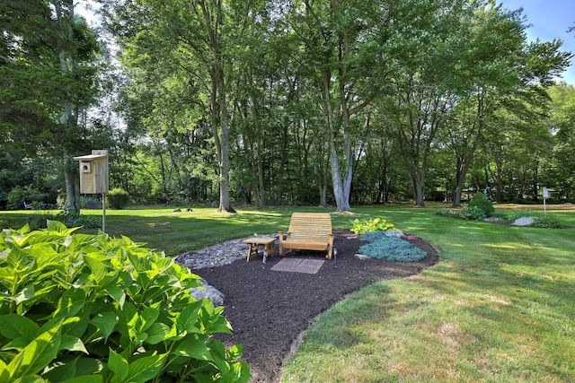 30 Longview Rd, Monroe, CT 06468 - photo 38