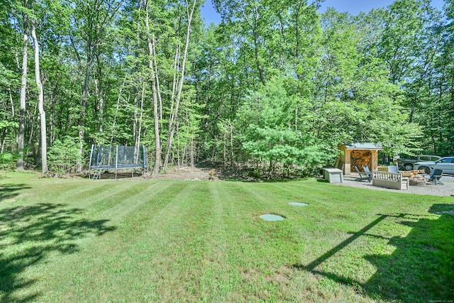 31 Pond Factory Rd, Woodstock, CT 06281 - photo 9