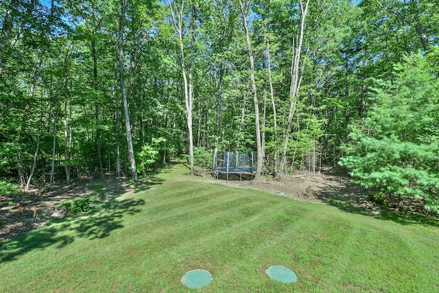 31 Pond Factory Rd, Woodstock, CT 06281 - photo 10