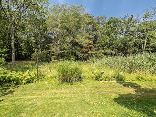283 Redding Rd, Redding, CT 06896 - photo 33
