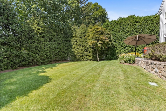 71 W Ave, Darien, CT 06820 - photo 37