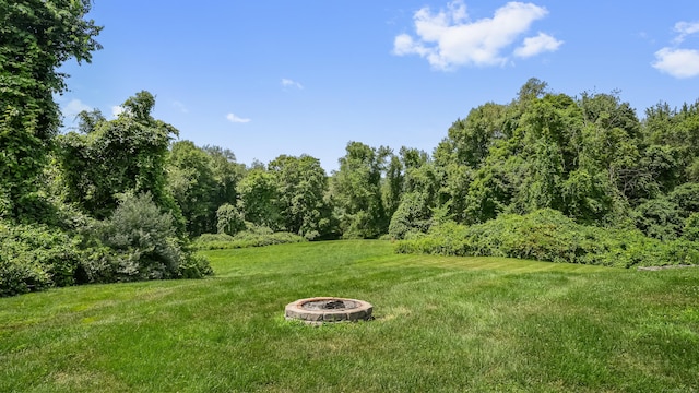 44 Boggs Hill Rd, Newtown, CT 06470 - photo 36