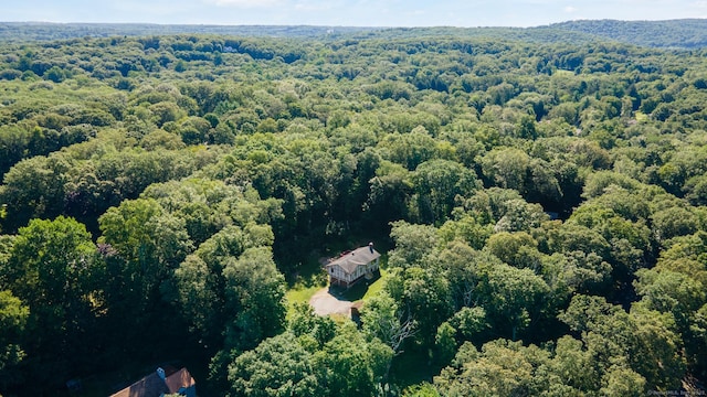825 Jeremy Swamp Rd, Southbury, CT 06488 - photo 4