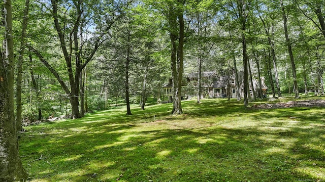 100 Honeysuckle Hill Ln, Easton, CT 06612 - photo 36
