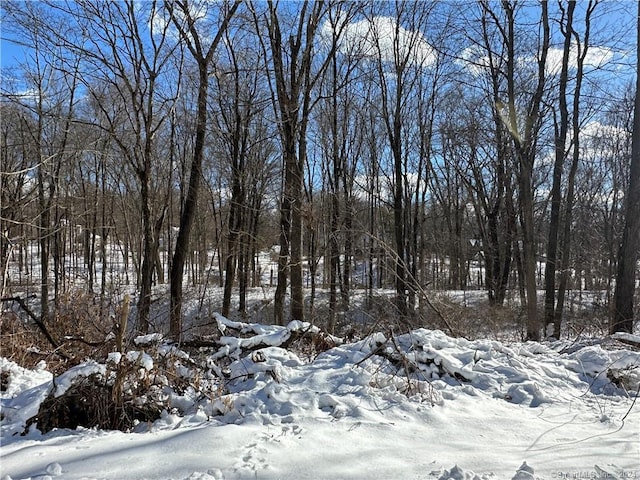 10 Railroad Ave, East Hampton, CT 06424 - photo 8