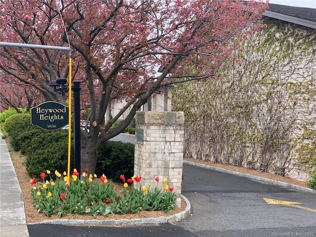 249 Hamilton Ave Unit 06, Stamford, CT 06902 - photo 1