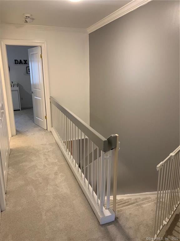 249 Hamilton Ave Unit 06, Stamford, CT 06902 - photo 16