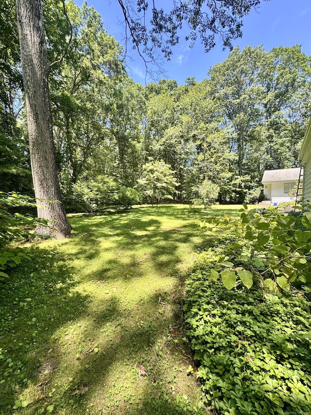 15 Highland Rd, Mansfield, CT 06250 - photo 6